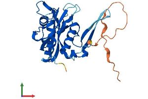 Protein Structure (PS) image for Nudix Hydrolase 8 (NUDT8) (AA 1-236) protein (His tag) (ABIN7550037)
