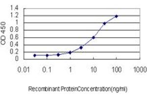 Detection limit for recombinant GST tagged RBP4 is approximately 1ng/ml as a capture antibody. (RBP4 antibody  (AA 19-201))
