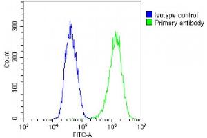 Overlay histogram showing PC-3 cells stained with (ABIN1539403 and ABIN2849618)(green line). (DSPP antibody  (AA 47-76))