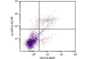 BALB/c mouse splenocytes were stained with Rat Anti-Mouse CD11b-BIOT. (CD11b antibody  (Biotin))