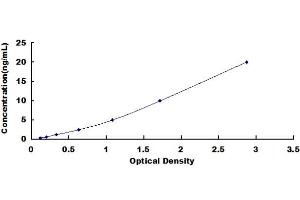 Typical standard curve (Contactin 4 ELISA Kit)