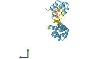 Protein Structure (PS) image for Fas (TNFRSF6)-Associated Via Death Domain (FADD) (AA 1-208) protein (His tag) (ABIN7547526)
