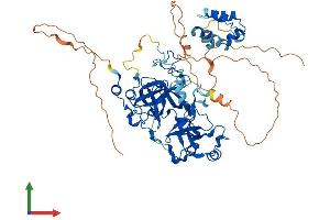 AlphaFold protein structure predicition of Mouse Recombinant L3mbtl4 Protein, UniprotID B1B1A0
