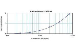 Image no. 2 for anti-PDGF-BB Homodimer antibody (Biotin) (ABIN465515) (PDGF-BB Homodimer antibody (Biotin))