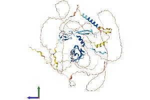 AlphaFold protein structure predicition of Human Recombinant ZFAND4 Protein, UniprotID Q86XD8