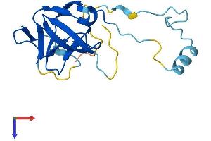 AlphaFold protein structure predicition of Human Recombinant ERVK-24 Protein, UniprotID P63129