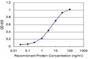 Detection limit for recombinant GST tagged PRL is approximately 0. (Prolactin antibody  (AA 29-227))