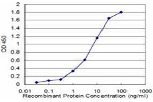 Detection limit for recombinant GST tagged NVL is approximately 0. (NVL antibody  (AA 757-856))
