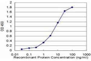 Detection limit for recombinant GST tagged NVL is approximately 0.