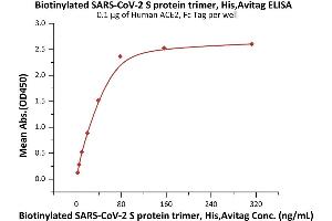 Immobilized Human ACE2, Fc Tag (ABIN6952459,ABIN6952465) at 1 μg/mL (100 μL/well) can bind Biotinylated SARS-CoV-2 S protein trimer, His,Avitag (ABIN6992365) with a linear range of 2-39 ng/mL (QC tested). (SARS-CoV-2 Spike Protein (B.1.351 - beta, Trimer) (His tag,AVI tag,Biotin))