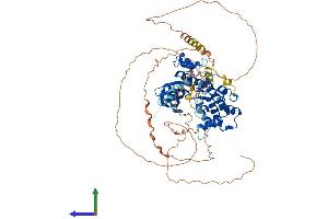 AlphaFold protein structure predicition of Human Recombinant HUNK Protein, UniprotID P57058 (HUNK Protein (AA 1-714) (His tag))