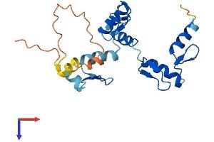 Protein Structure (PS) image for Zinc Finger Protein 876, Pseudogene (ZNF876P) (AA 1-203) protein (His tag) (ABIN7545520)