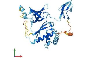 AlphaFold protein structure predicition of Human Recombinant EXOSC2 Protein, UniprotID Q13868 (EXOSC2 Protein (AA 1-293) (His tag))