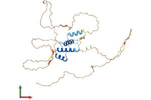 Protein Structure (PS) image for Single-Stranded DNA Binding Protein 2 (SSBP2) (AA 1-361) protein (His tag) (ABIN7546417)