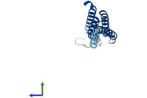 Protein Structure (PS) image for Leukotriene C4 Synthase (LTC4S) (AA 1-150) protein (His tag) (ABIN7557627)
