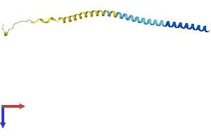 AlphaFold protein structure predicition of Human Recombinant VAMP1 Protein, UniprotID P23763