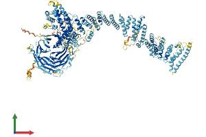 AlphaFold protein structure predicition of Human Recombinant NUP160 Protein, UniprotID Q12769 (NUP160 Protein (AA 1-1436) (His tag))