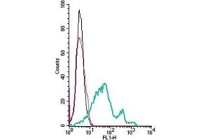 Cell surface detection of GPR108 by indirect flow cytometry in live intact mouse  microglia cell line: + goat-anti-rabbit-FITC. (GPR108 antibody  (Extracellular))
