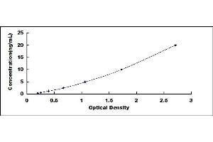 Typical standard curve (NELL2 ELISA Kit)