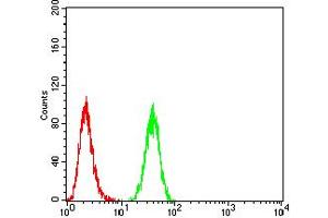 Flow Cytometry (FACS) image for anti-3-phosphoinositide Dependent Protein Kinase-1 (PDPK1) (AA 457-556) antibody (ABIN5855659) (PDPK1 antibody  (AA 457-556))
