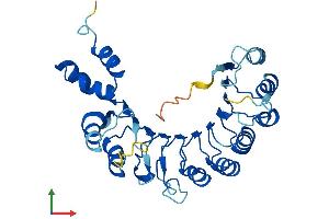 AlphaFold protein structure predicition of Human Recombinant FBXL12 Protein, UniprotID Q9NXK8 (FBXL12 Protein (AA 1-326) (His tag))