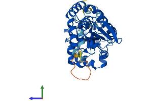 AlphaFold protein structure predicition of Human Recombinant DUSP2 Protein, UniprotID Q05923