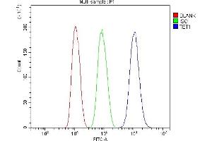Flow Cytometry analysis of HepG2 cells using anti-TET1 antibody (ABIN7600442). (TET1 antibody  (AA 194-417))
