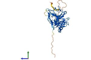 AlphaFold protein structure predicition of Human Recombinant RFPL3 Protein, UniprotID O75679