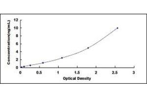 KRT4 ELISA Kit