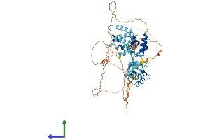 AlphaFold protein structure predicition of Human Recombinant C1orf87 Protein, UniprotID Q8N0U7 (C1orf87 Protein (AA 1-546) (His tag))