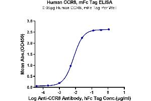 Immobilized Human CCR8, mFc Tag at 0. (CCR8 Protein (AA 1-35) (mFc Tag))