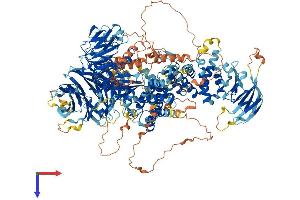 WD Repeat Domain 7 (WDR7) (AA 1-1490) protein (His tag)