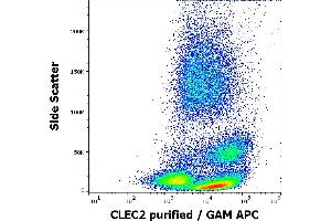 C-Type Lectin Domain Family 1, Member B (CLEC1B) (AA 68-229), (Extracellular Domain) antibody