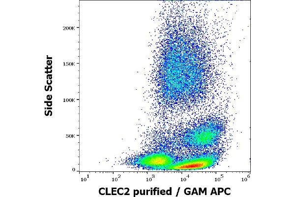C-Type Lectin Domain Family 1, Member B (CLEC1B) (AA 68-229), (Extracellular Domain) antibody