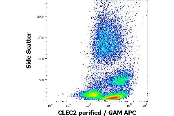 C-Type Lectin Domain Family 1, Member B (CLEC1B) (AA 68-229), (Extracellular Domain) antibody