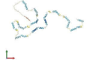 AlphaFold protein structure predicition of Mouse Recombinant Nebl Protein, UniprotID Q0II04 (Nebulette Protein (NEBL) (AA 1-452) (His tag))