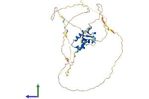 Protein Structure (PS) image for Forkhead Box F1 (FOXF1) (AA 1-378) protein (His tag) (ABIN7557659)