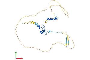Protein Structure (PS) image for PHD Finger Protein 13 (PHF13) (AA 1-300) protein (His tag) (ABIN7550730)