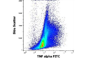 Flow cytometry intracellular staining pattern of human PHA stimulated peripheral blood mononuclear cells stained using anti-human TNF alpha (MAb11) FITC antibody (4 μL reagent per milion cells in 100 μL of cell suspension).