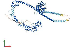 Protein Structure (PS) image for TNF Receptor-Associated Factor 3 (TRAF3) (AA 1-567) protein (His tag) (ABIN7563878)