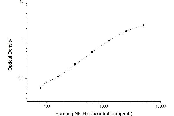 NEFH ELISA Kit