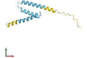 AlphaFold protein structure predicition of Human Recombinant LRRC37A5P Protein, UniprotID Q49AS3 (LRRC37A5P Protein (AA 1-106) (His tag))