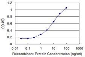 Detection limit for recombinant GST tagged BAALC is 0. (BAALC antibody  (AA 61-145))