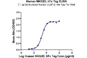 ELISA image for Killer Cell Lectin-Like Receptor Subfamily K, Member 1 (KLRK1) (AA 78-216) protein (Fc-DYKDDDDK Tag) (ABIN7275337)