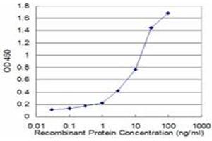 Detection limit for recombinant GST tagged PFN2 is approximately 0. (PFN2 antibody  (AA 41-140))