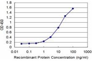 Detection limit for recombinant GST tagged SMAD7 is approximately 1ng/ml as a capture antibody. (SMAD7 antibody  (AA 160-260))