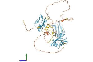 AlphaFold protein structure predicition of Human Recombinant HNRNPH1 Protein, UniprotID P31943