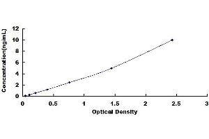 DKK1 ELISA Kit