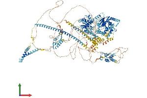 Protein Structure (PS) image for SWI/SNF Related, Matrix Associated, Actin Dependent Regulator of Chromatin, Subfamily A, Member 2 (SMARCA2) (AA 1-1590) protein (His tag) (ABIN7555556)