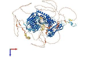 AlphaFold protein structure predicition of Mouse Recombinant Hfm1 Protein, UniprotID D3Z4R1 (HFM1 Protein (AA 1-1434) (His tag))